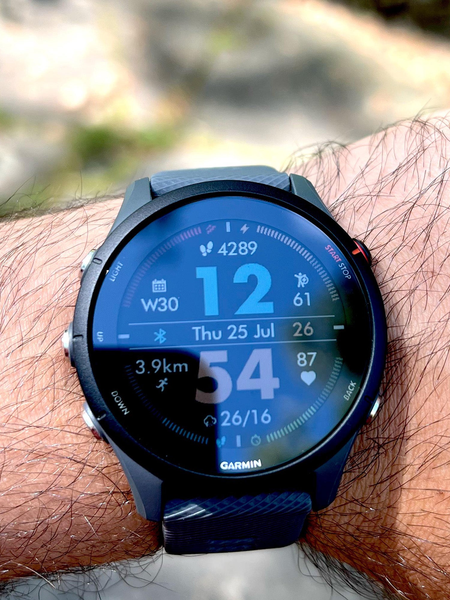 Garmin Forerunner 255